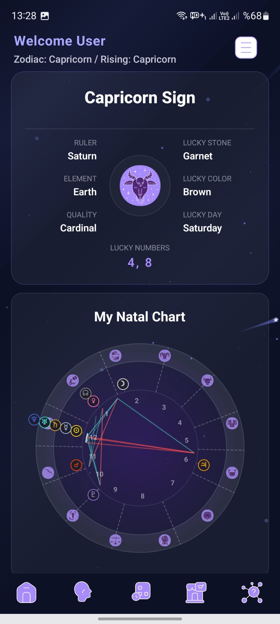 Birth Chart